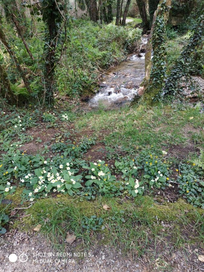 Costa Da Morte "Paraiso De Galicia" ポンテセソ エクステリア 写真